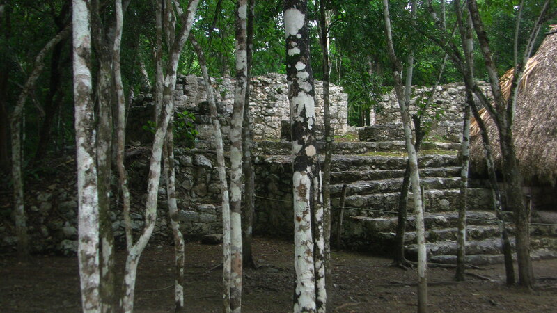 Ancient Stone Ruins — Green, Serene, Afternoon, Photograph, Trees, Stone Steps