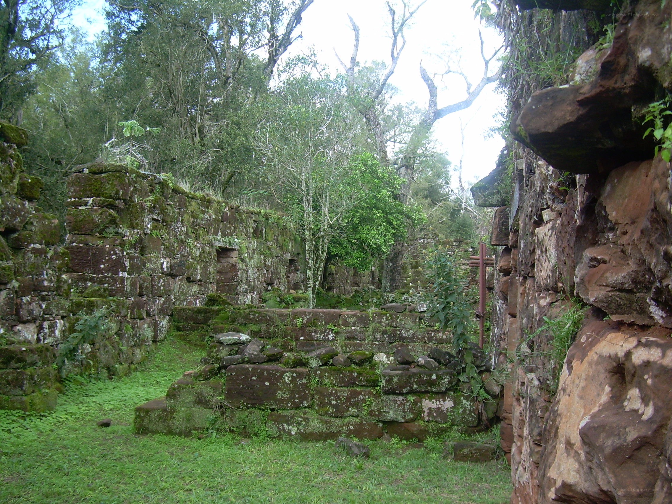 ancient stone ruins in forest