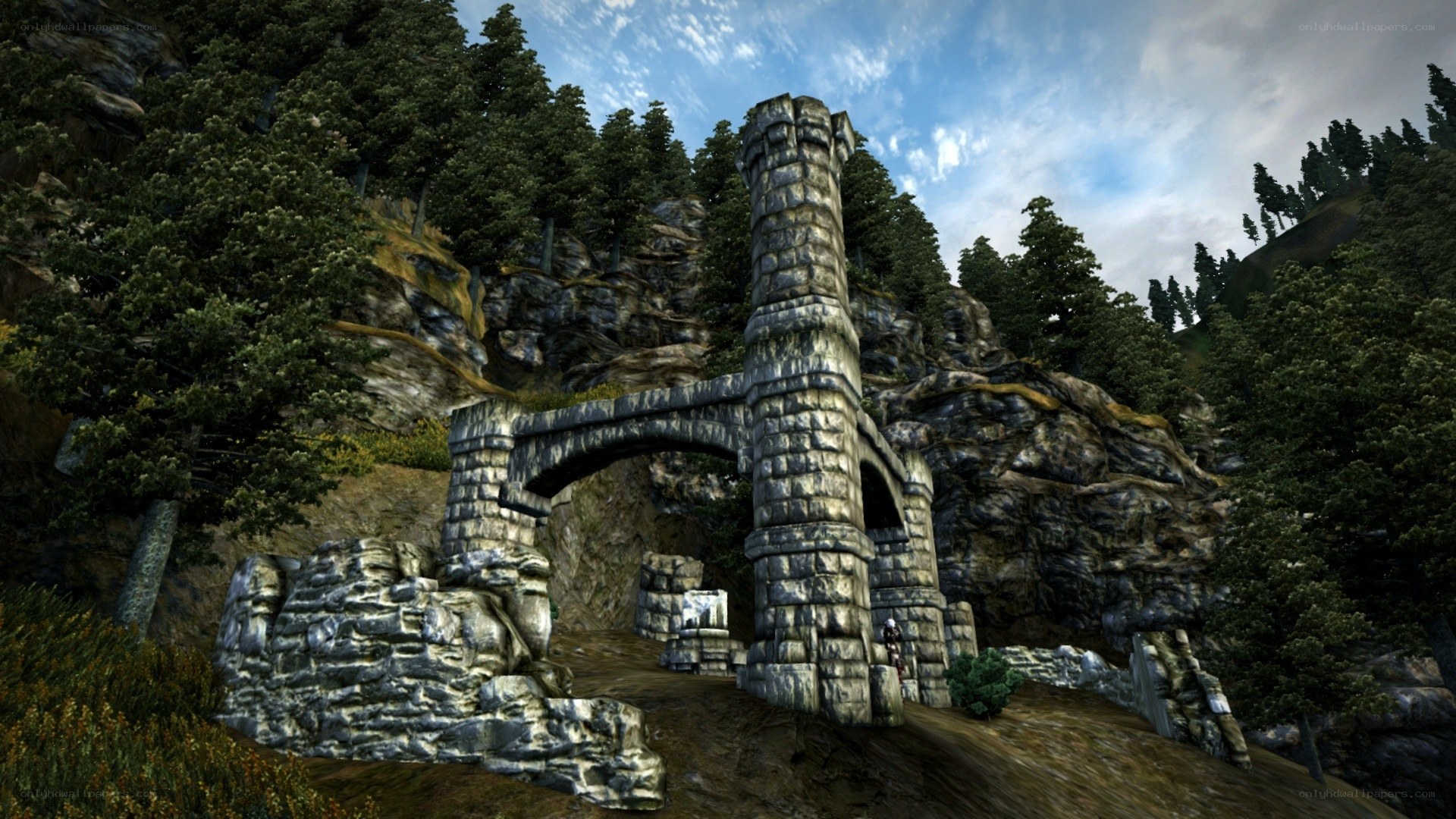 ancient stone ruins in forest