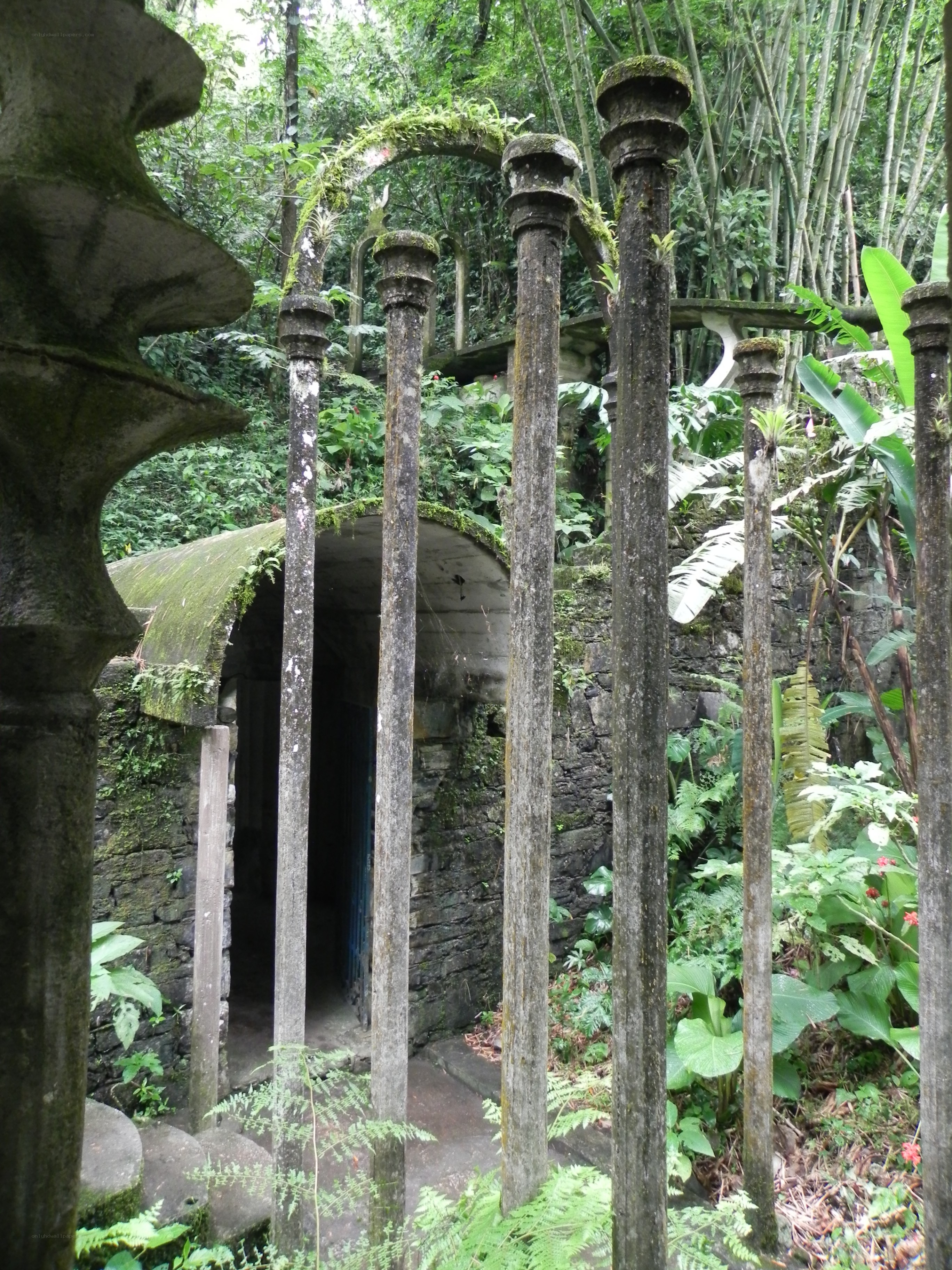 ancient stone ruins in jungle