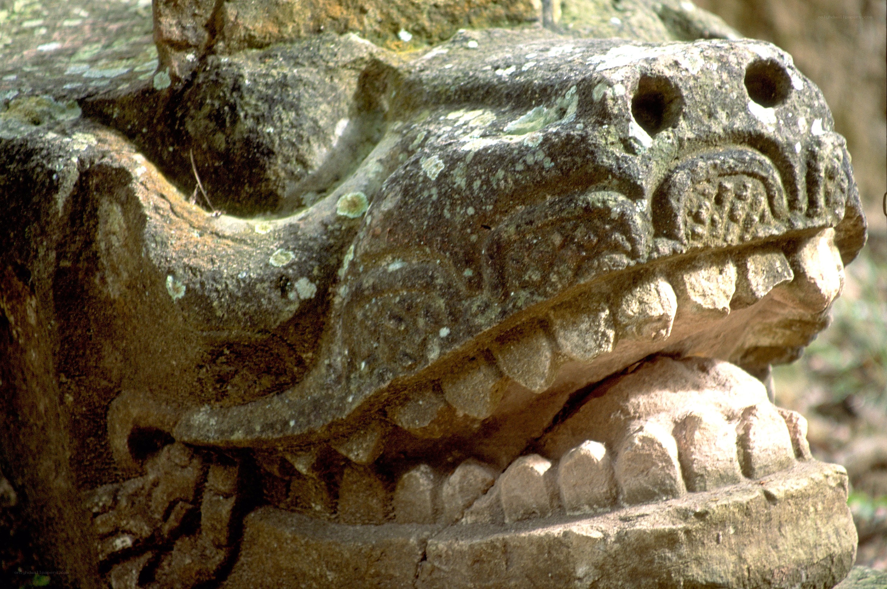 ancient stone serpent head