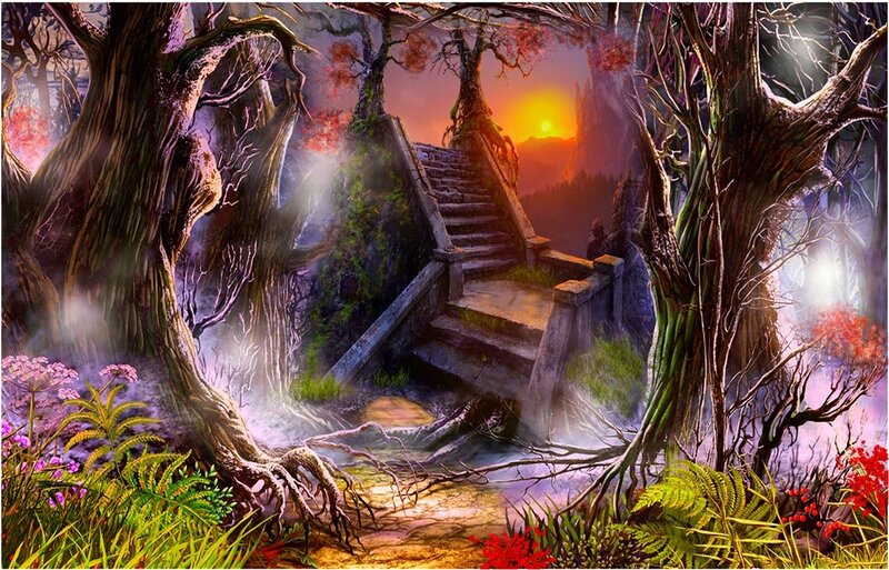 Ancient Stone Stairs in Forest