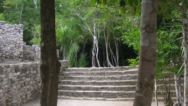 Ancient Stone Steps — Green
