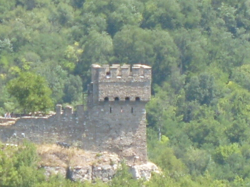 ancient stone tower in forest