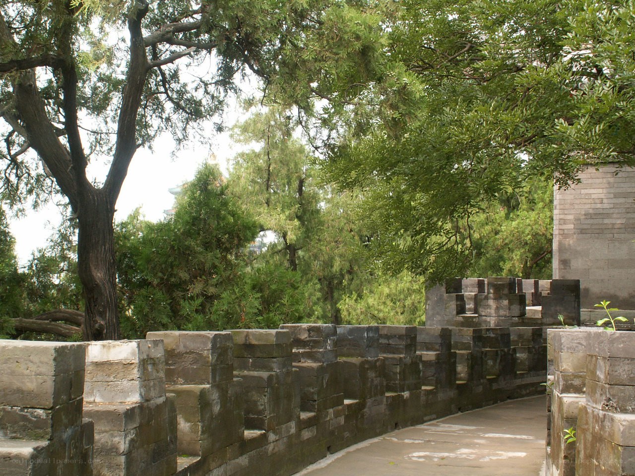 ancient stone wall in a park