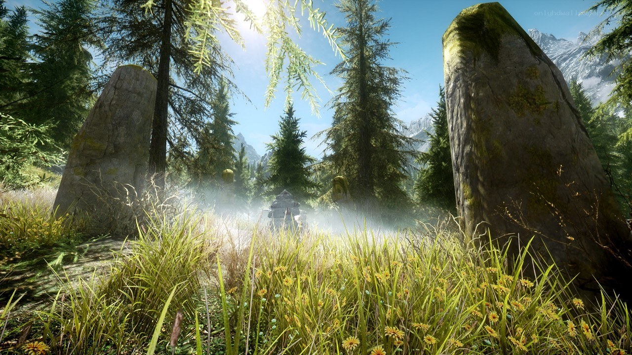 ancient stones in a forest clearing
