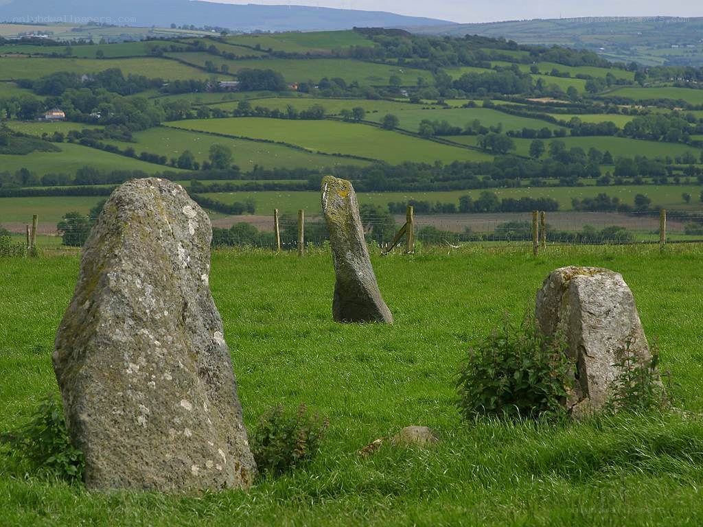 ancient stones in green field
