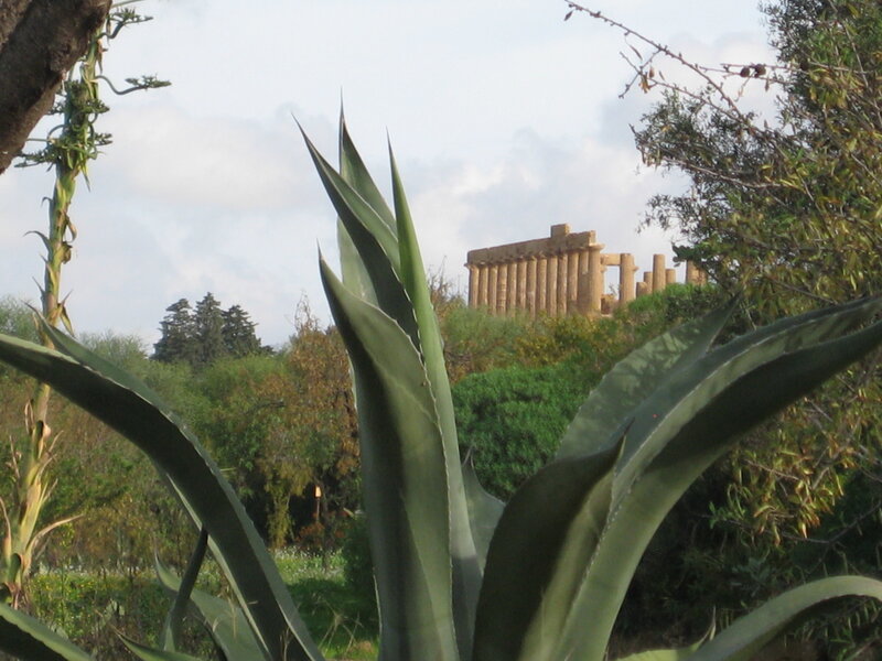 Ancient temple behind agave plant