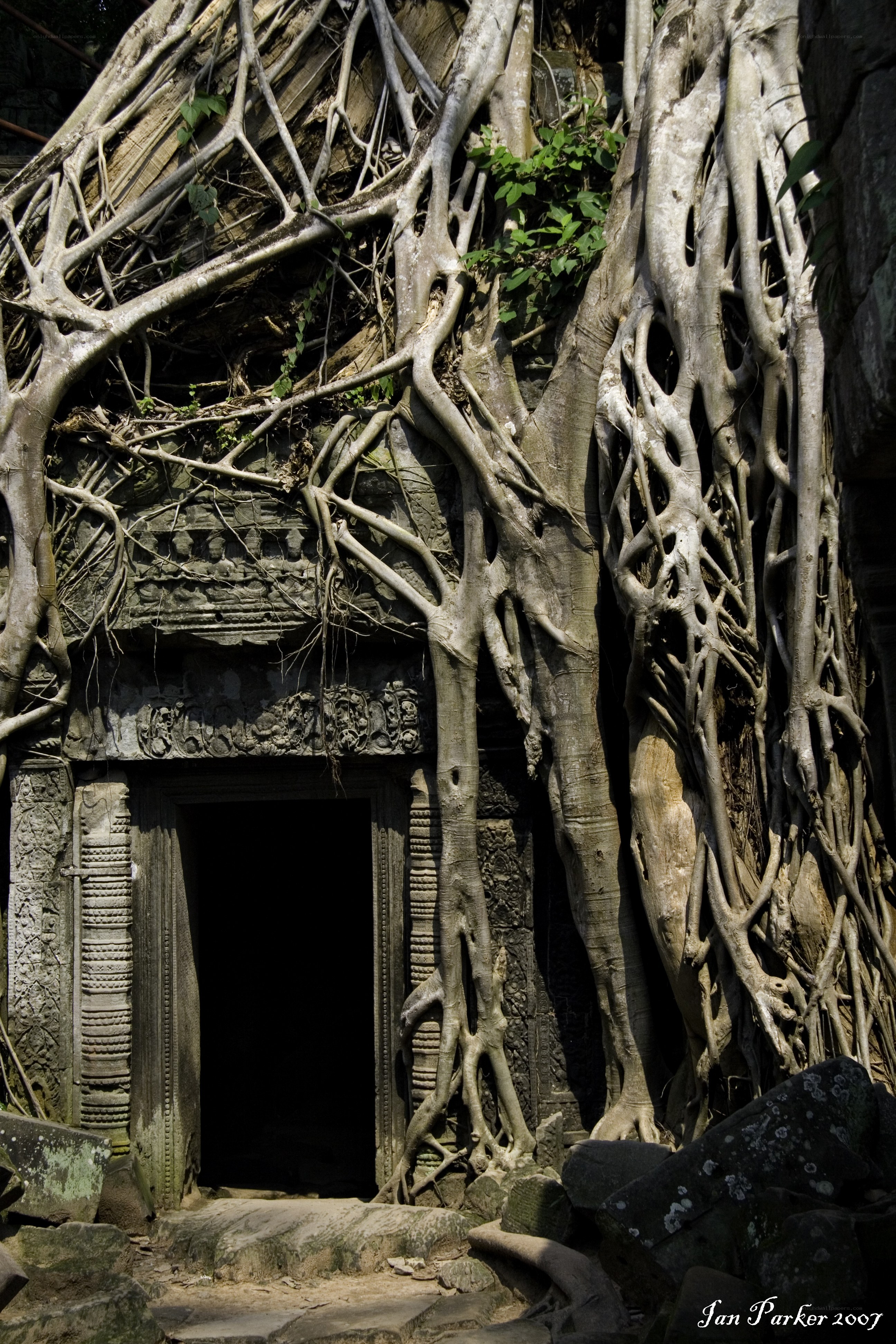 Ancient temple entrance with roots