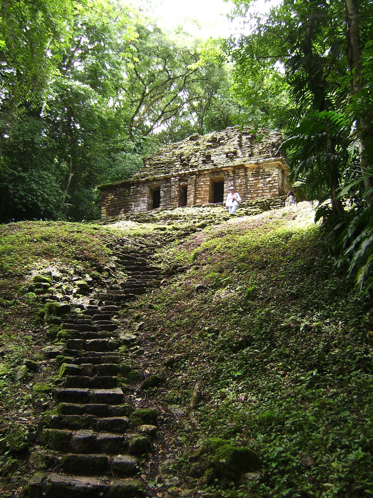 ancient temple in jungle