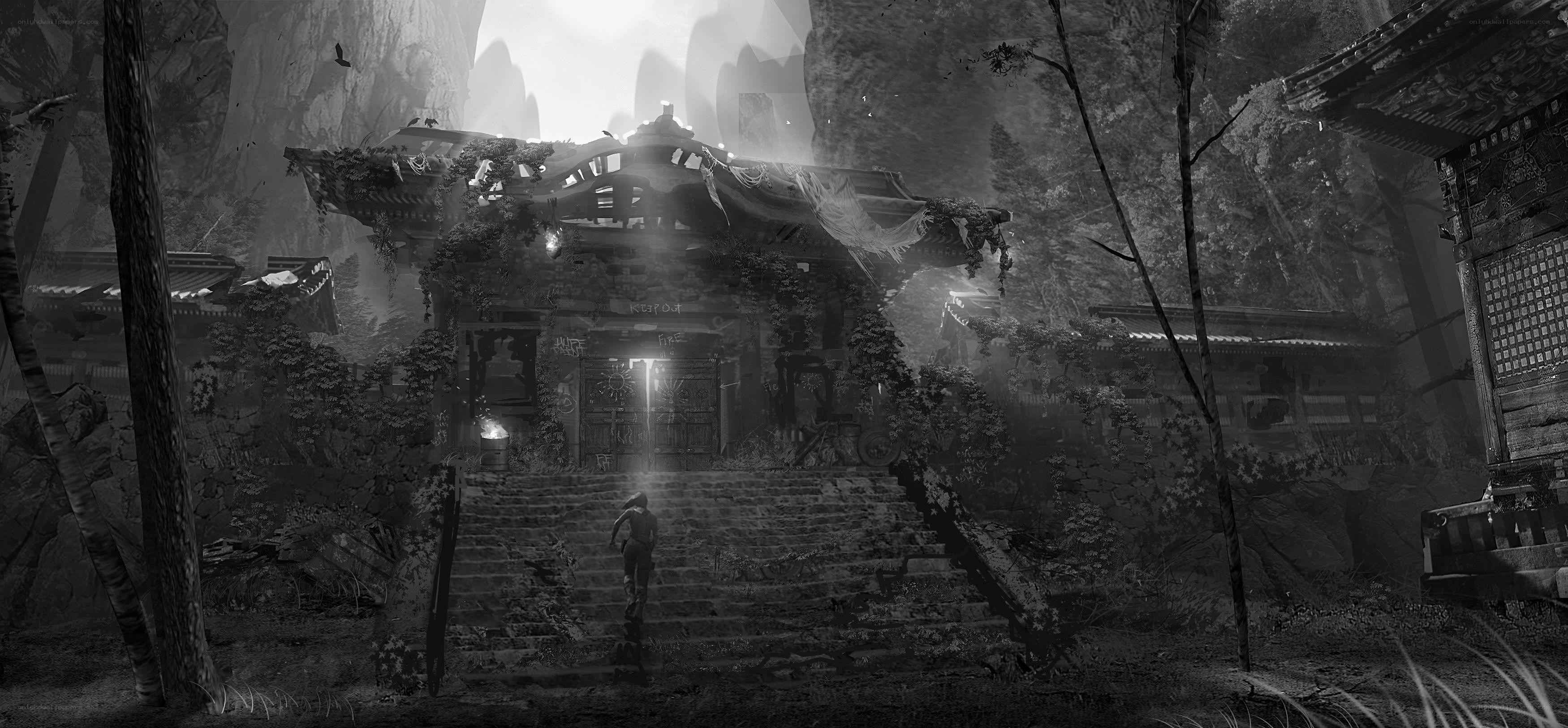 ancient temple in jungle