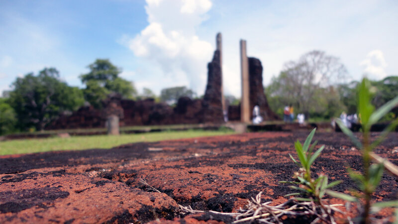Ancient Temple Ruins — Brown, Serene