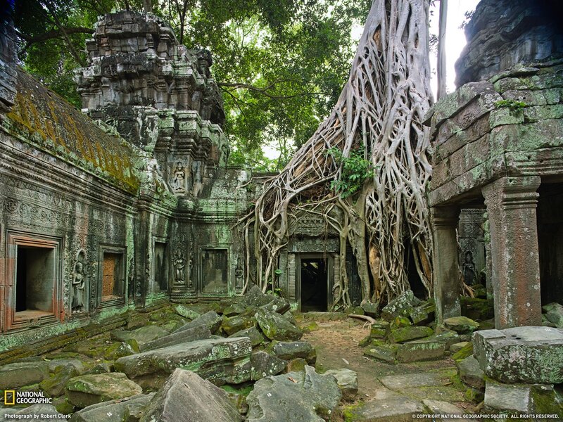 Ancient Temple Ruins — Green, Overgrown