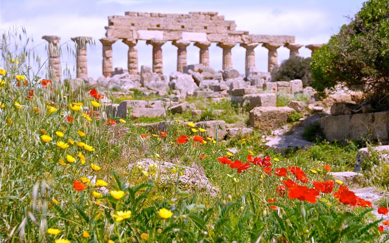 Ancient Temple Ruins — Green, Serene, Spring