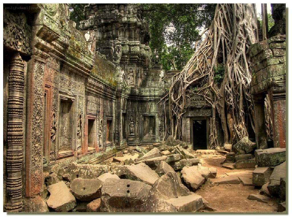 Ancient temple ruins with tree roots
