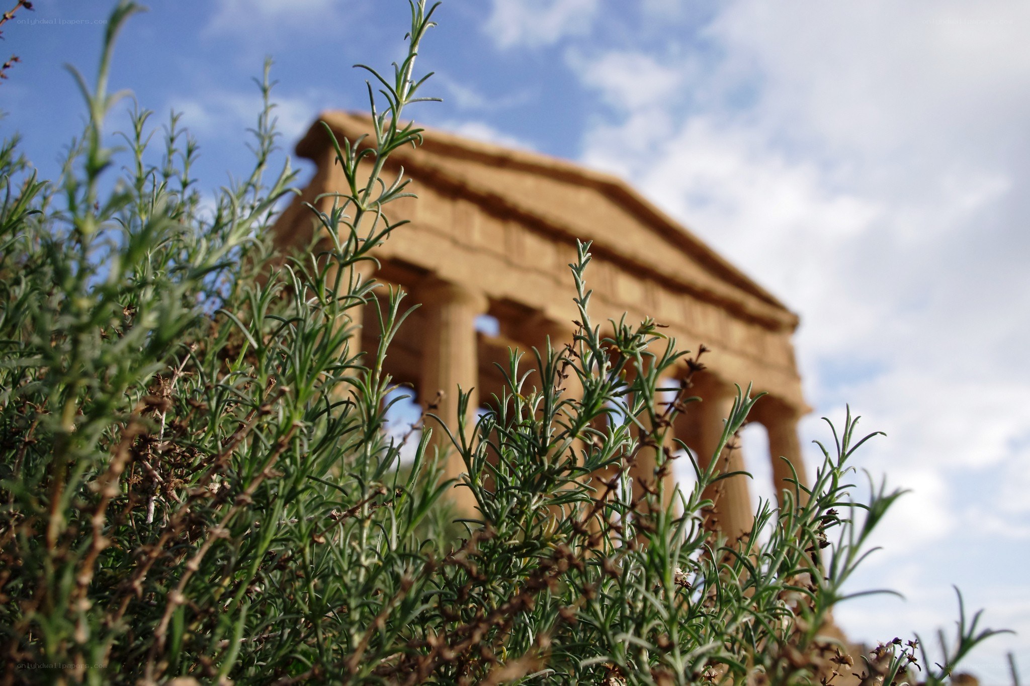 Ancient temple with greenery