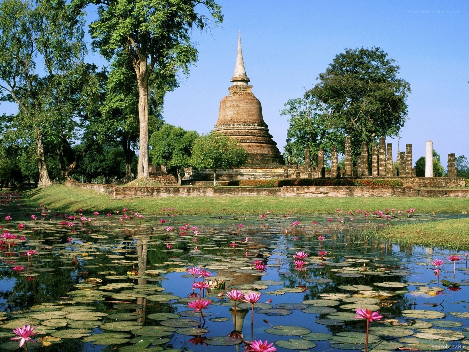 Ancient temple with lotus pond
