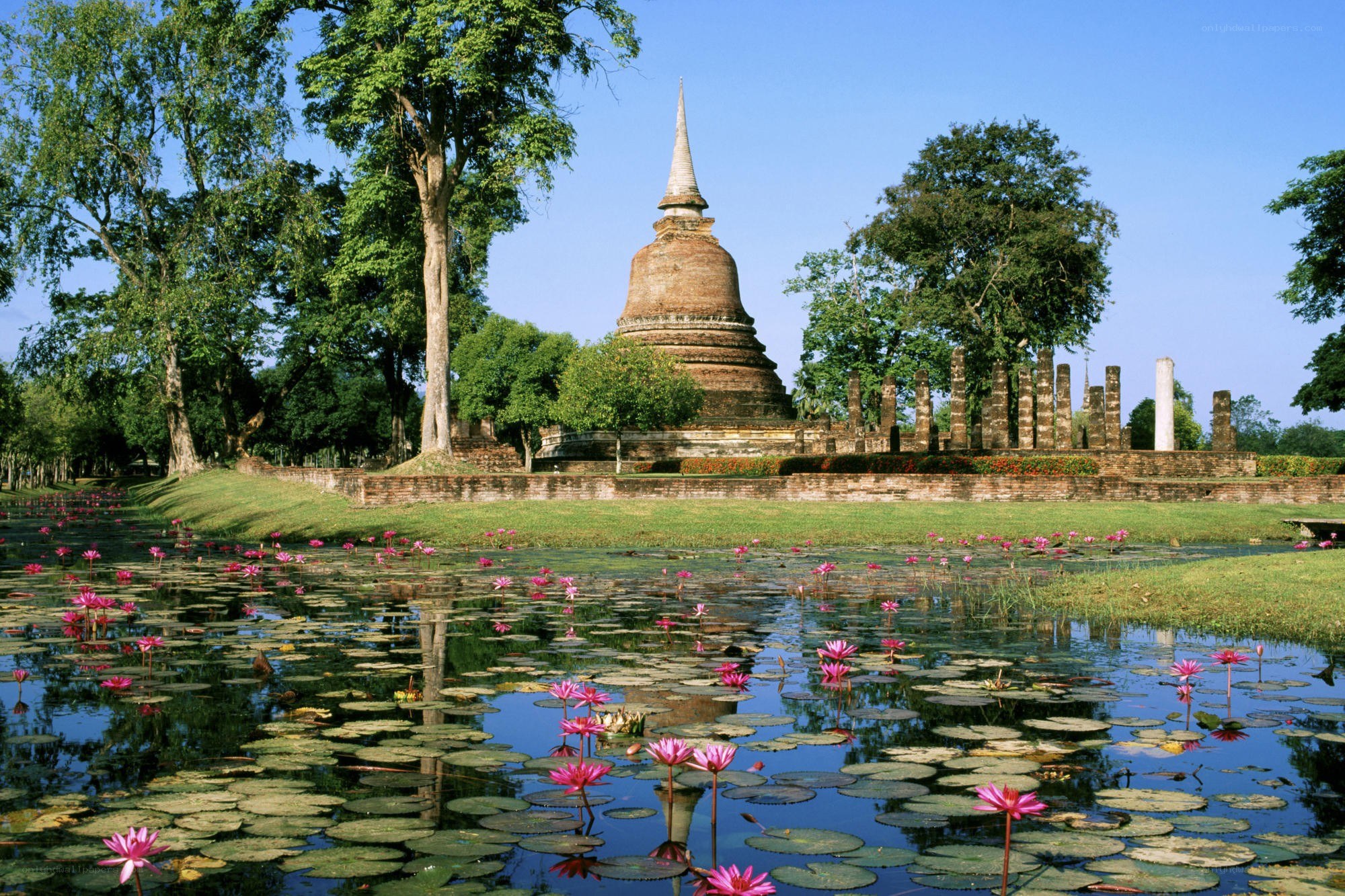 Ancient temple with lotus pond