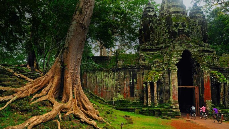 Ancient temple with tree roots