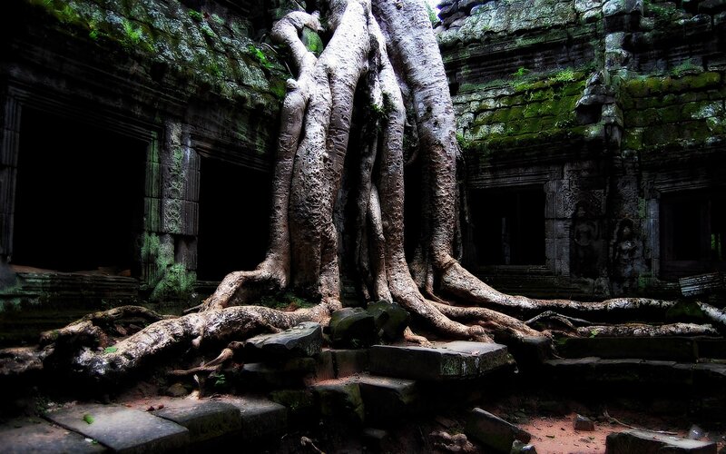 Ancient temple with tree roots