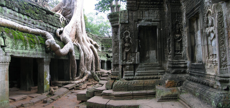 Ancient temple with tree roots