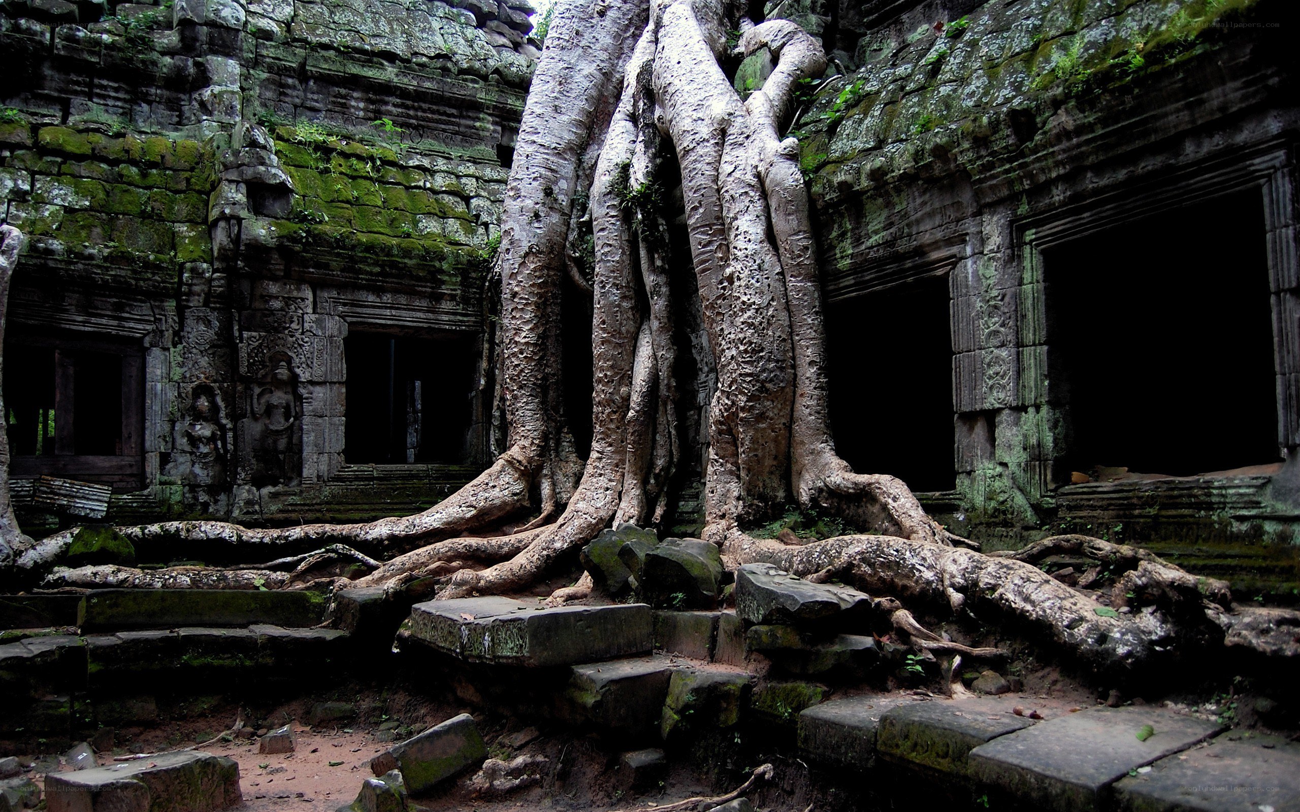 Ancient temple with tree roots