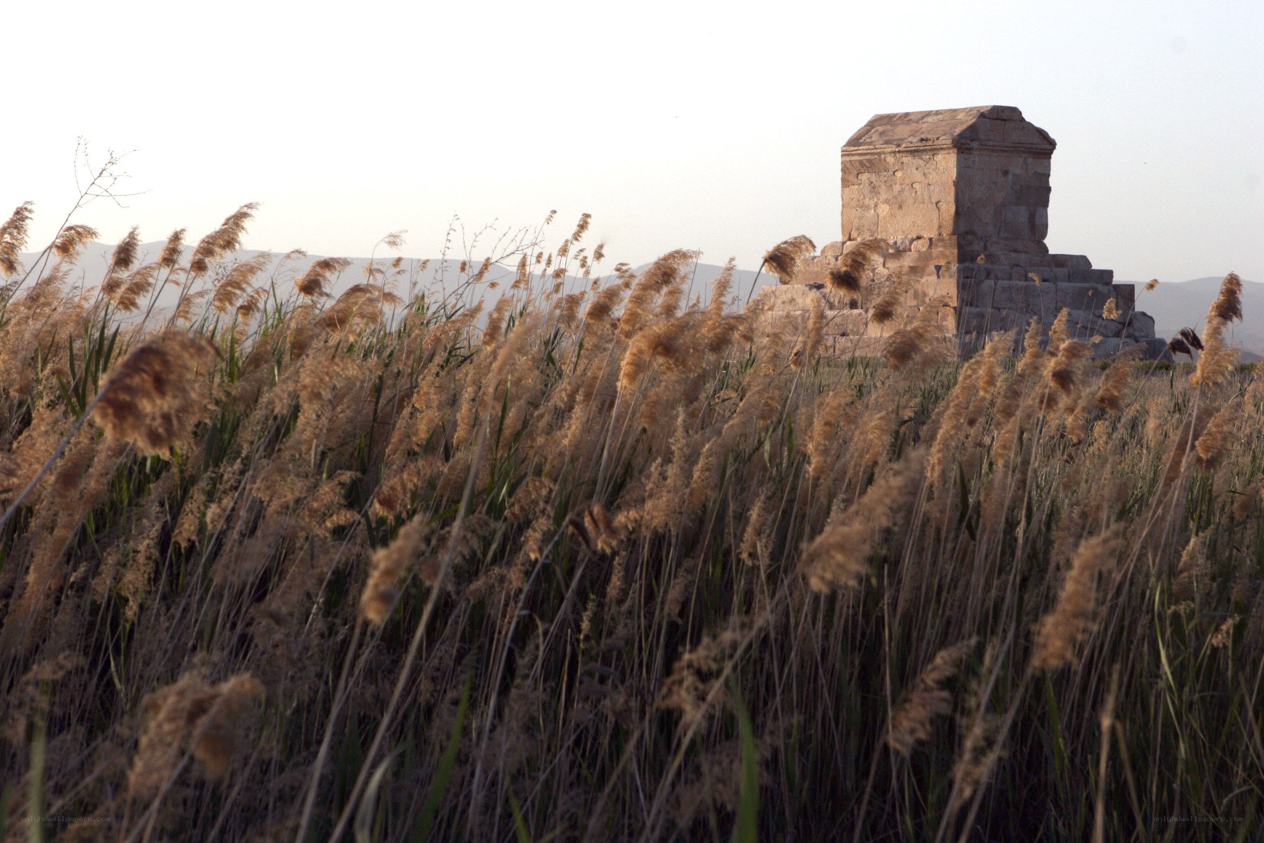 Ancient tomb in reed field