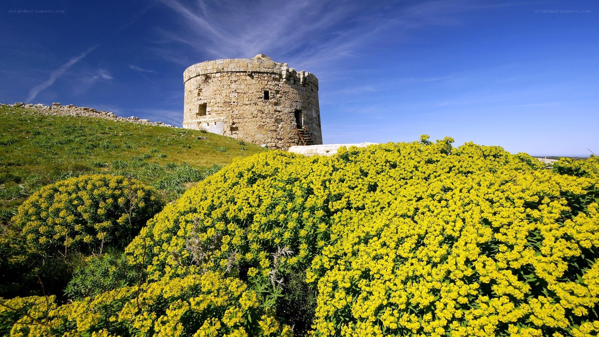 Ancient tower on a flower-covered hill