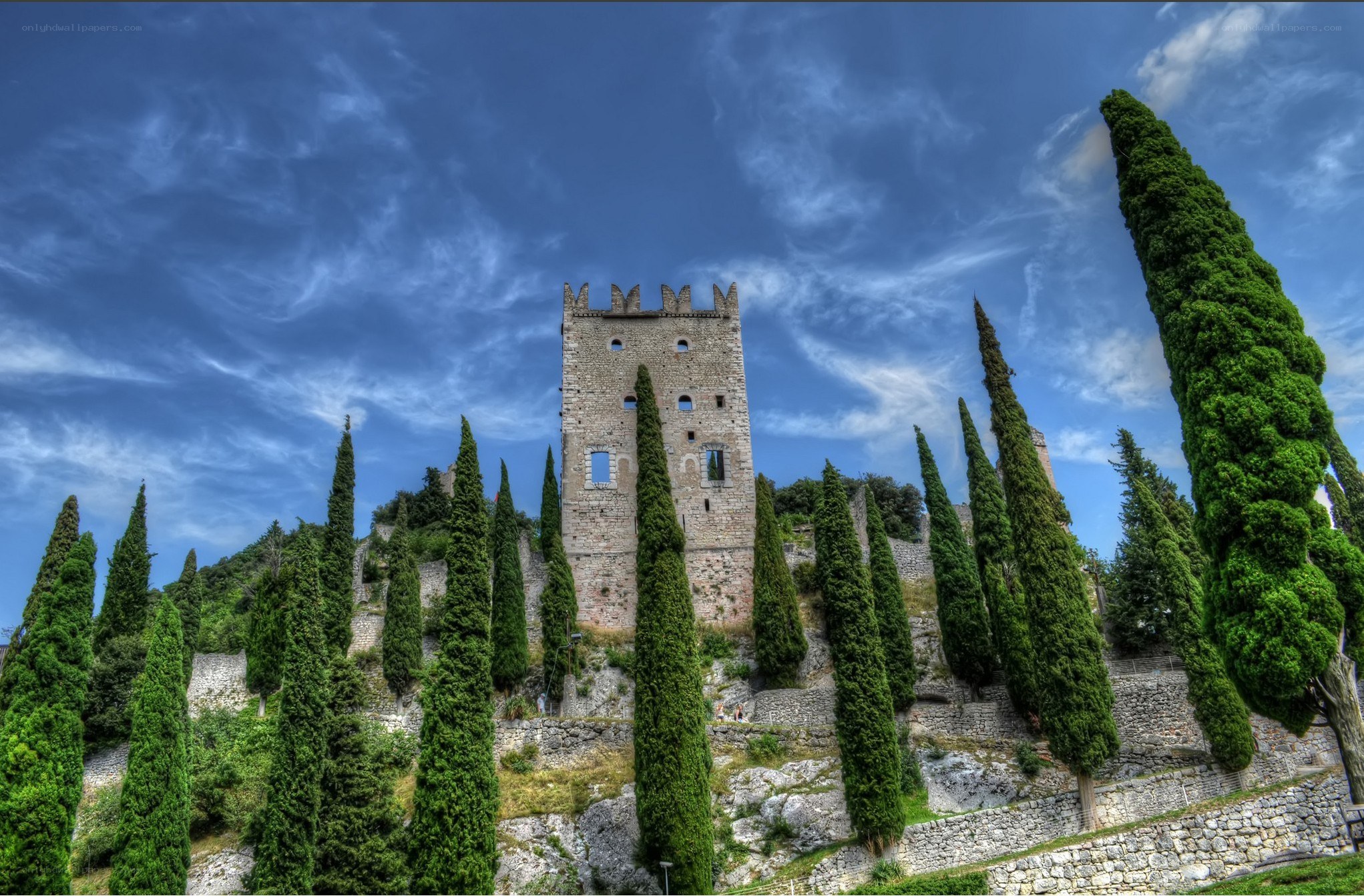 ancient tower with cypress trees