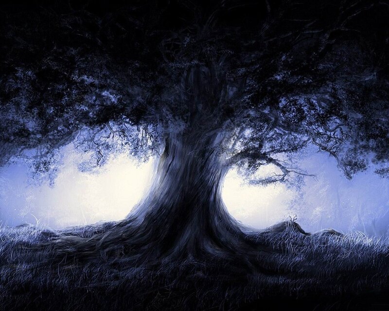 Ancient Tree at Night
