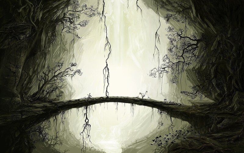 ancient tree bridge cave