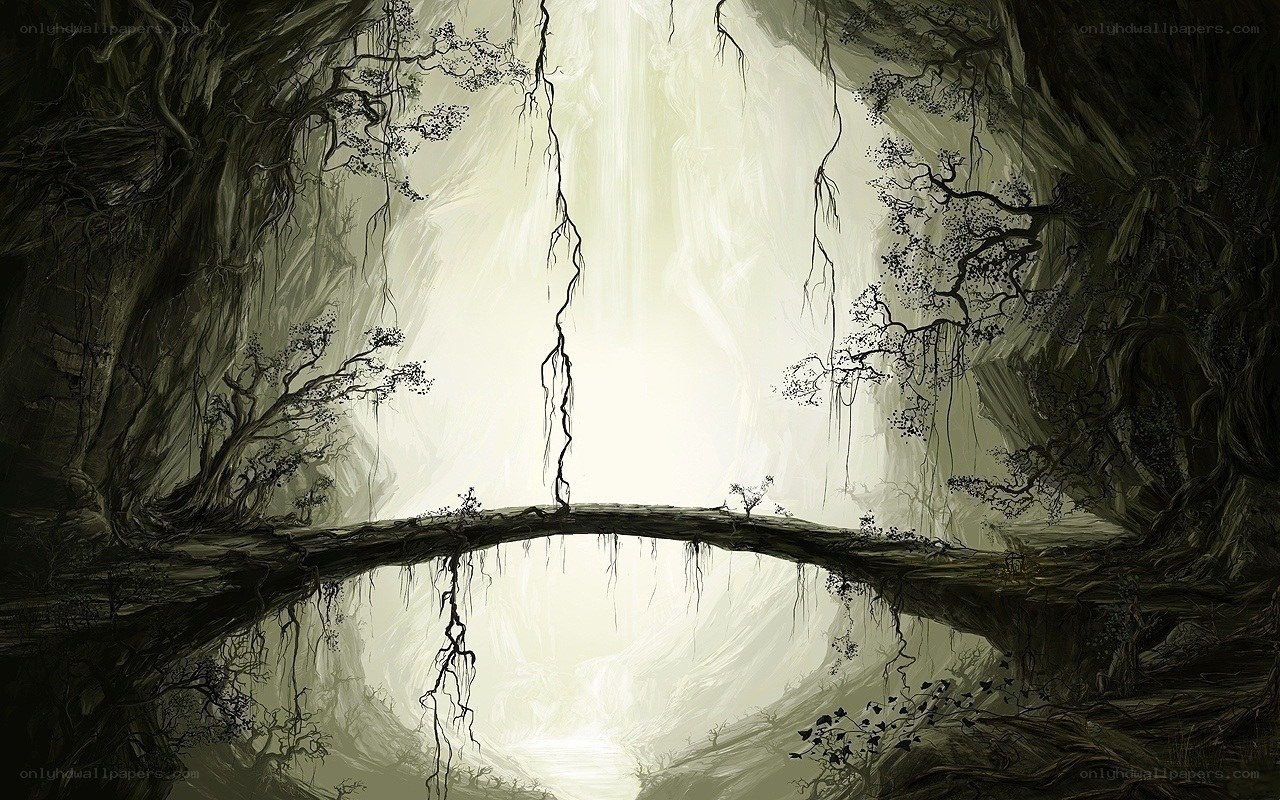 ancient tree bridge cave