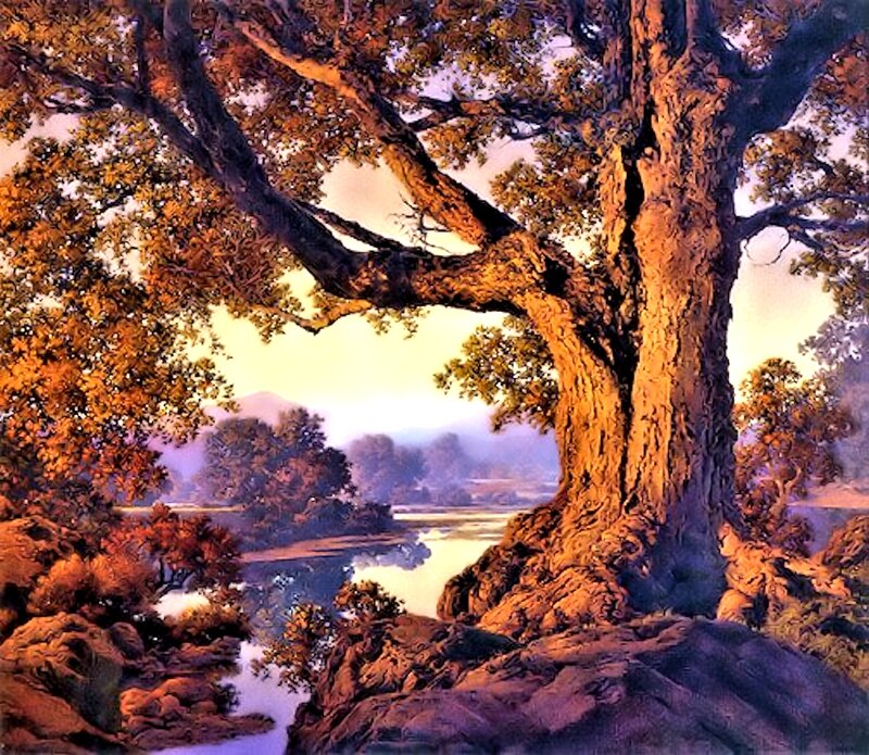 Ancient Tree by River — Orange