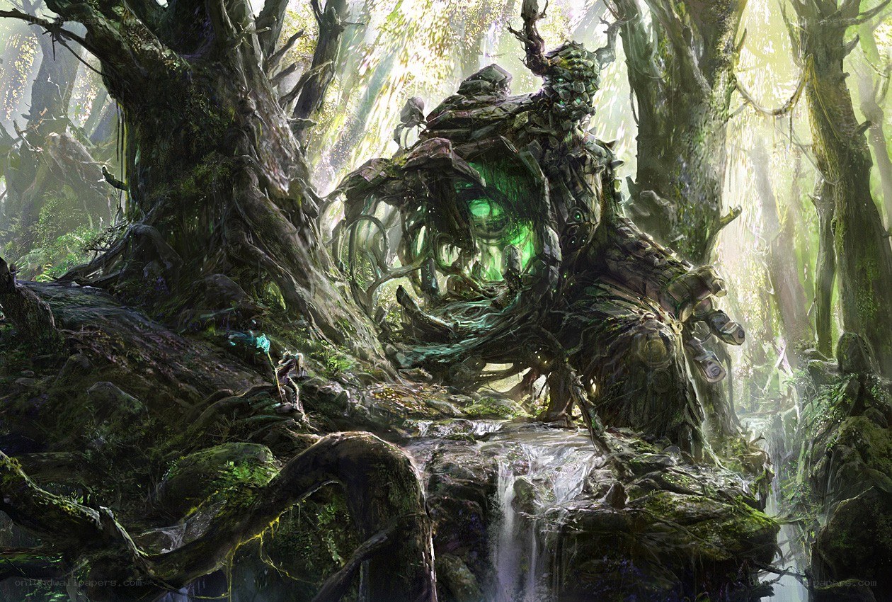 ancient tree guardian in forest