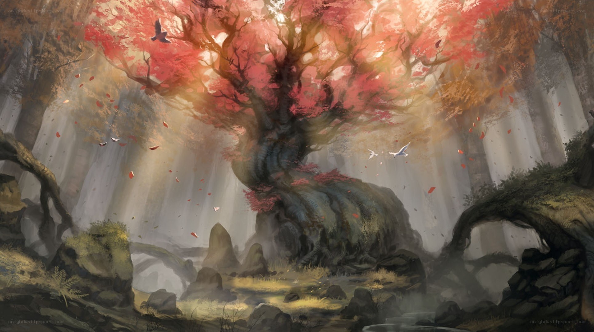 Ancient tree in autumn forest