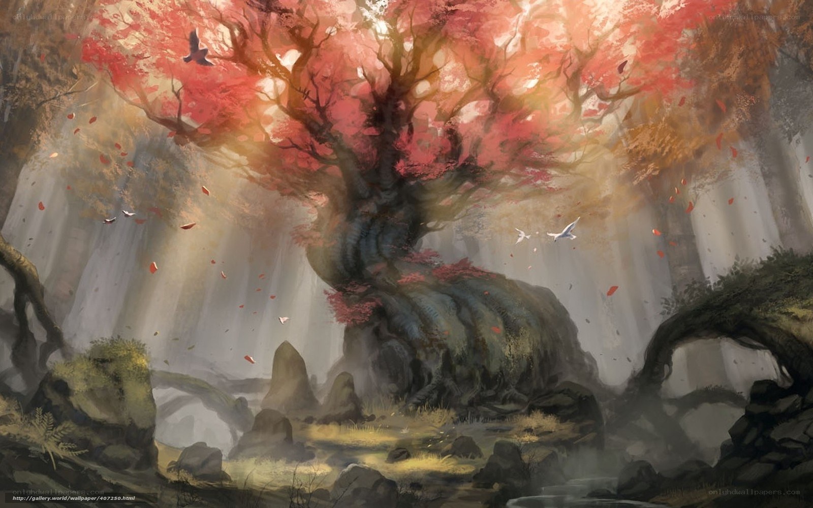 Ancient tree in autumn forest