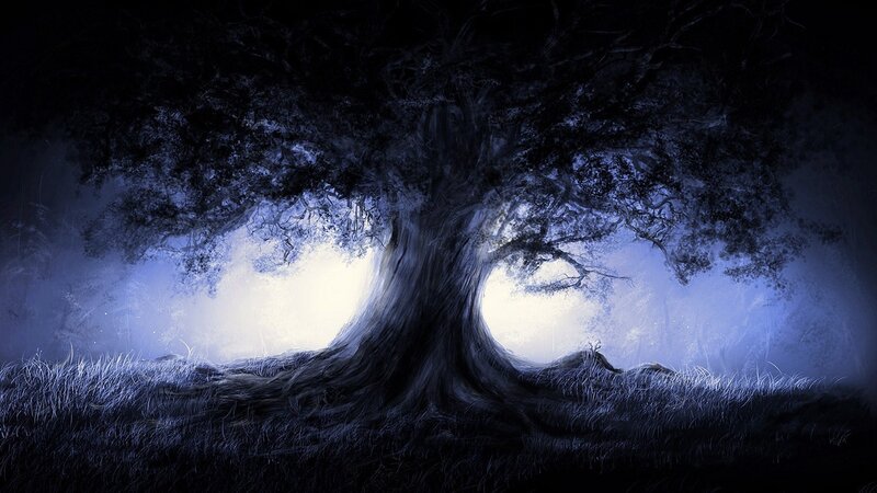 Ancient Tree in Fog — Blue