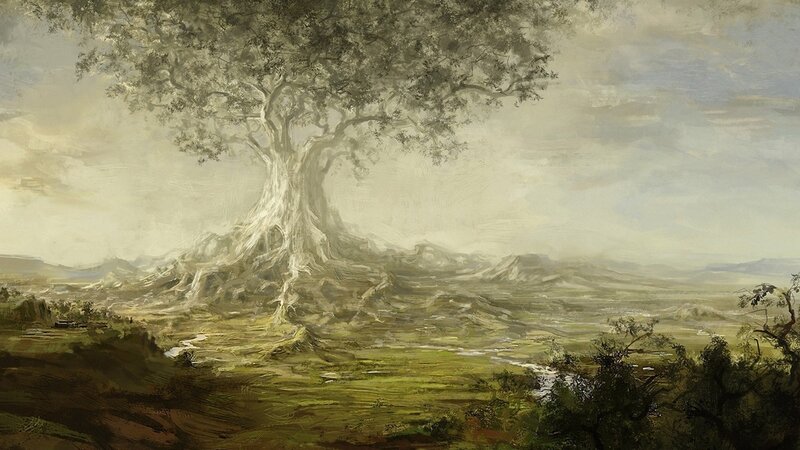Ancient Tree in Landscape