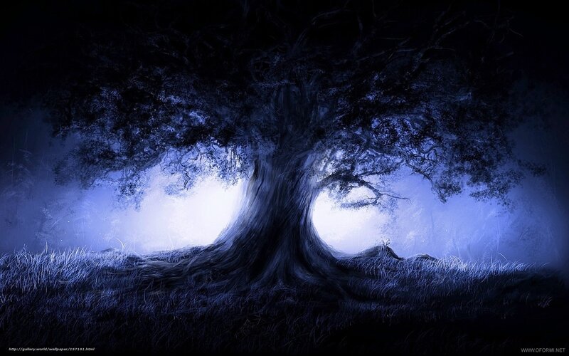 Ancient Tree in Mist — Blue, Mysterious