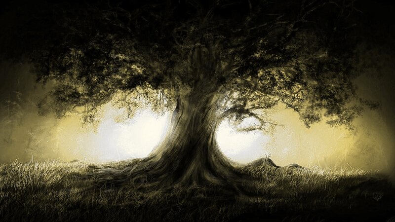 Ancient Tree in Mist — Yellow, Dramatic