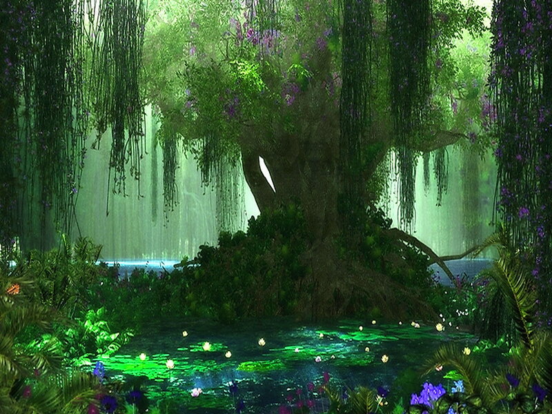 Ancient Tree in Swamp