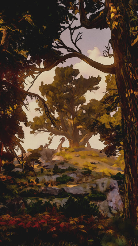 Ancient Tree on a Hill