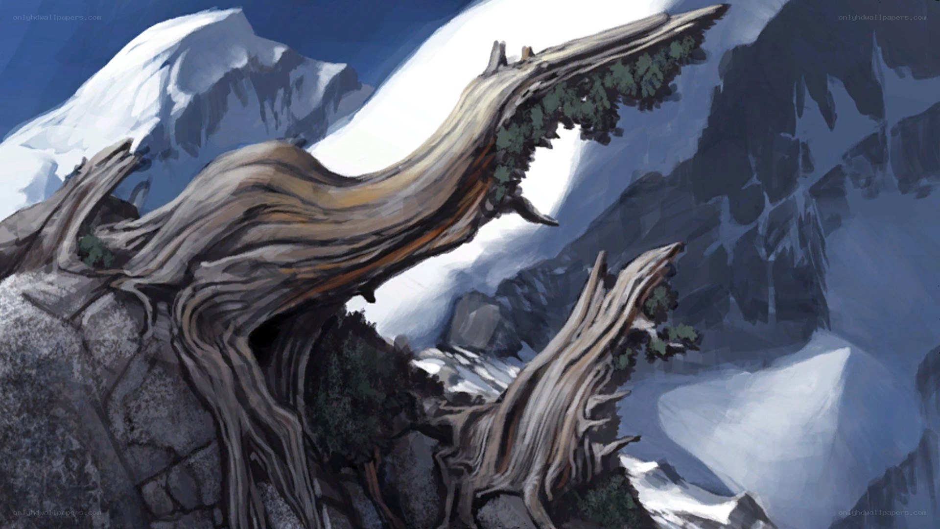 ancient tree on snowy mountain