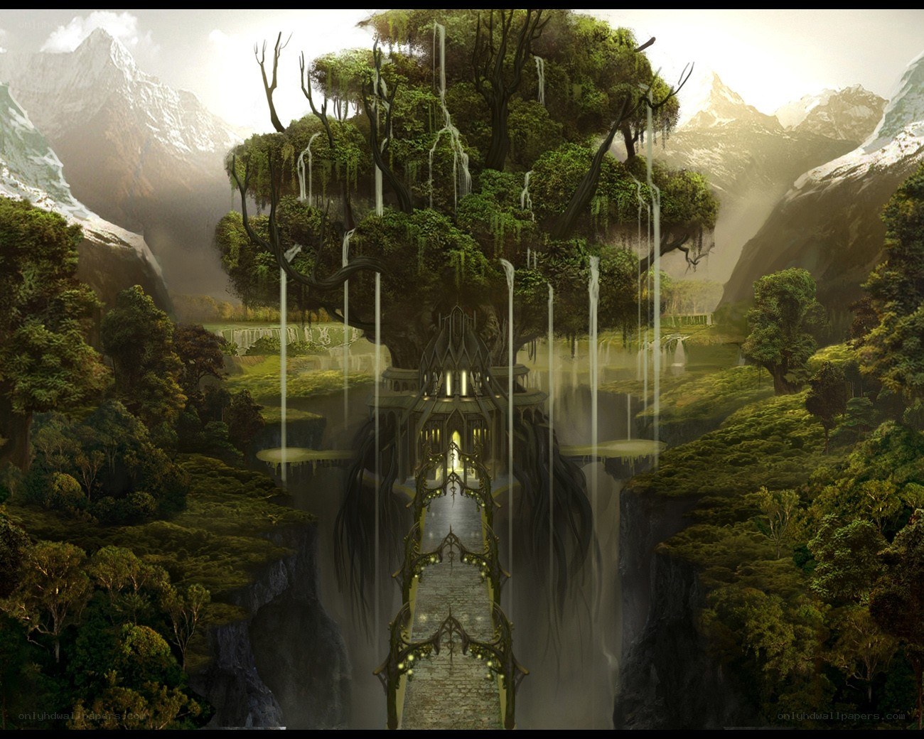 ancient tree temple