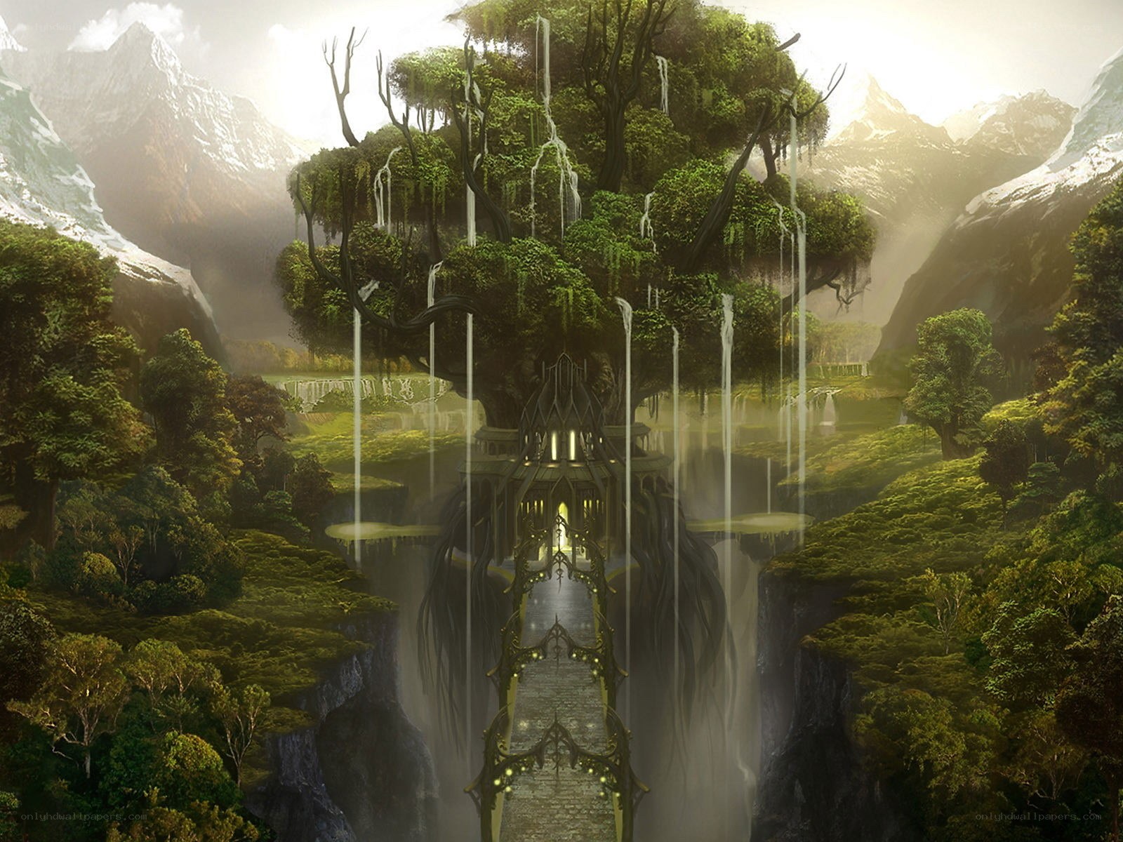 ancient tree temple