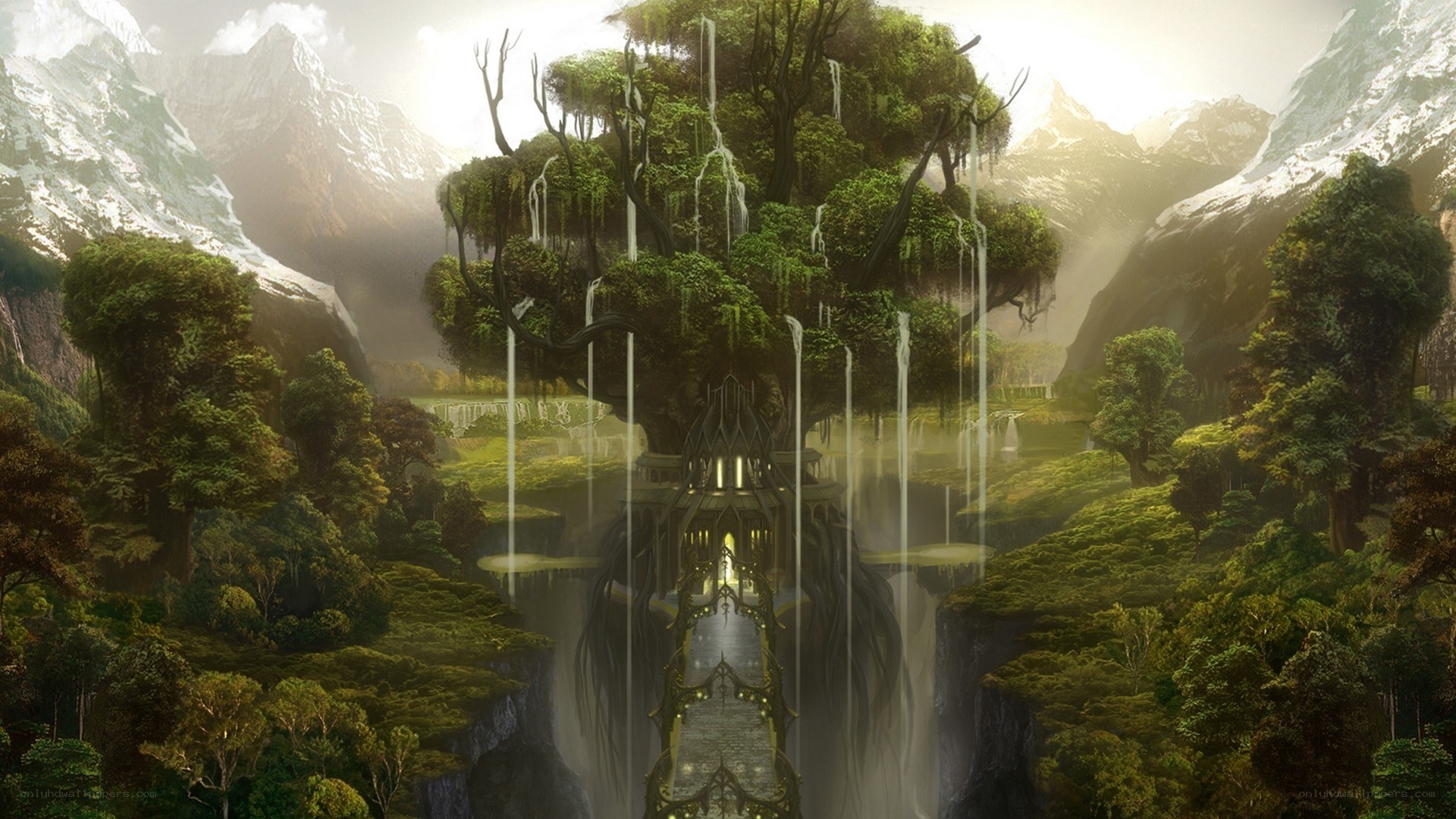 ancient tree temple in mountains