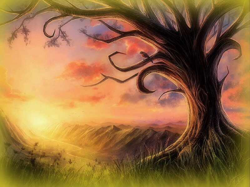 Ancient Tree with Bird
