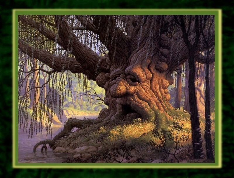 Ancient Tree with Face — Green