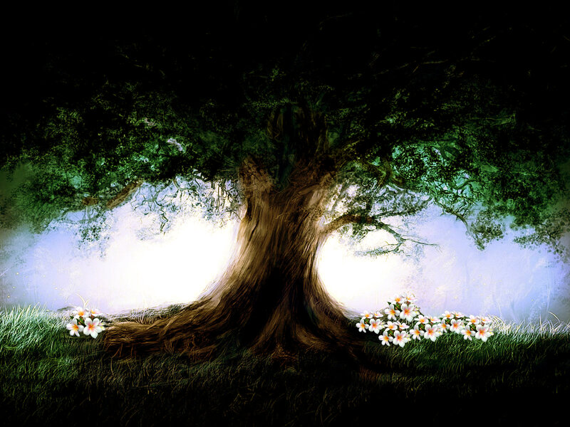 Ancient Tree with Flowers