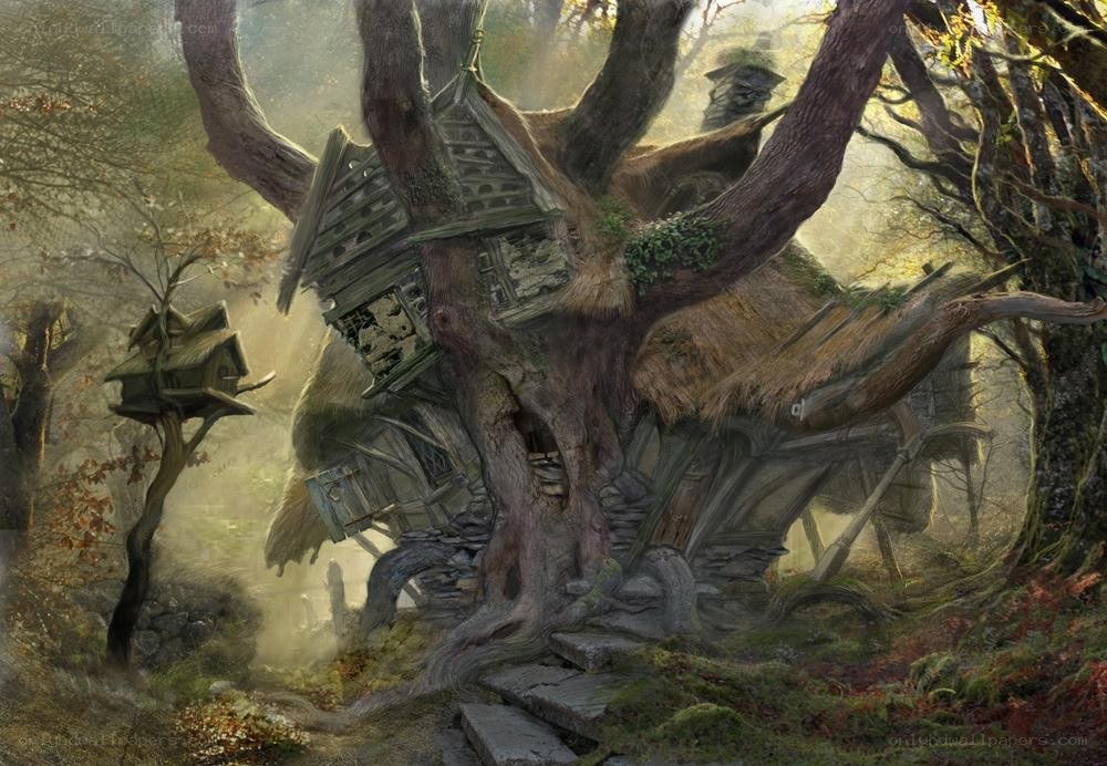 ancient treehouse in misty forest